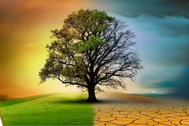 İklim Kanun Teklifiyle Ilgili Doğru Bilinen Yanlışlar!