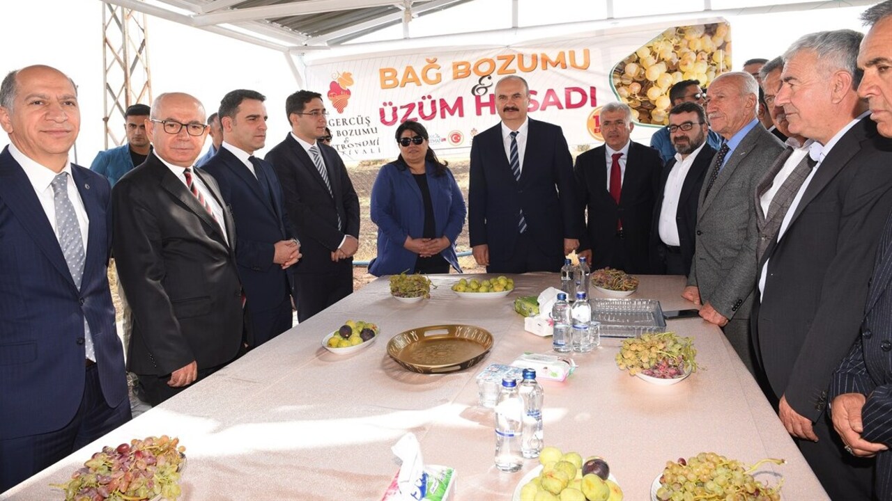 Gercus Sizi Uzumun Ve Lezzetin Solenine Davet Ediyor 1