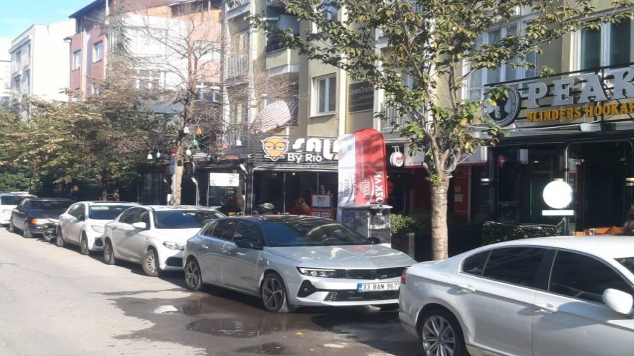 Dil Yaremize Dair Bir Kac Kelam Turkcemiz Acep Ne Alemde 4