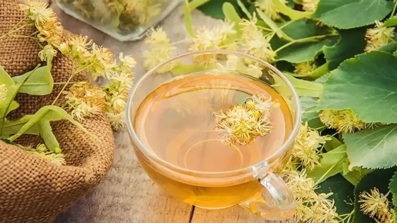 Ihlamur Agacinin Ozellikleri Nel (1)