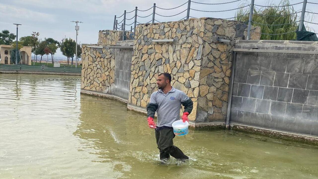 Batman Belediyesinden Kent Estet (1)