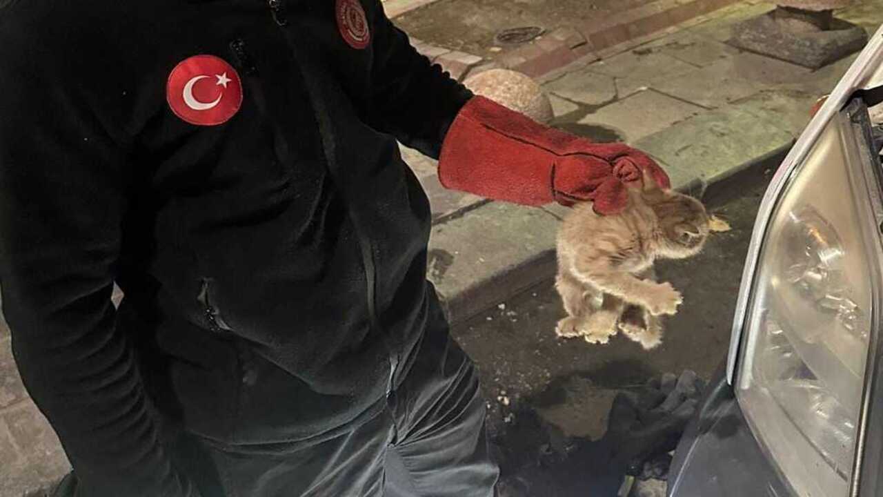 Batman Itfaiyesinden Bir Yilda 6