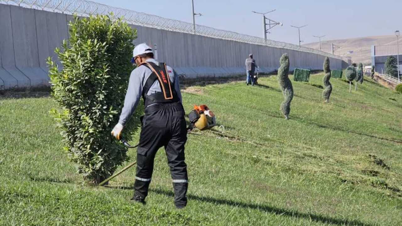 Batmanda Cim Bicme Ve Geri Donus (1)