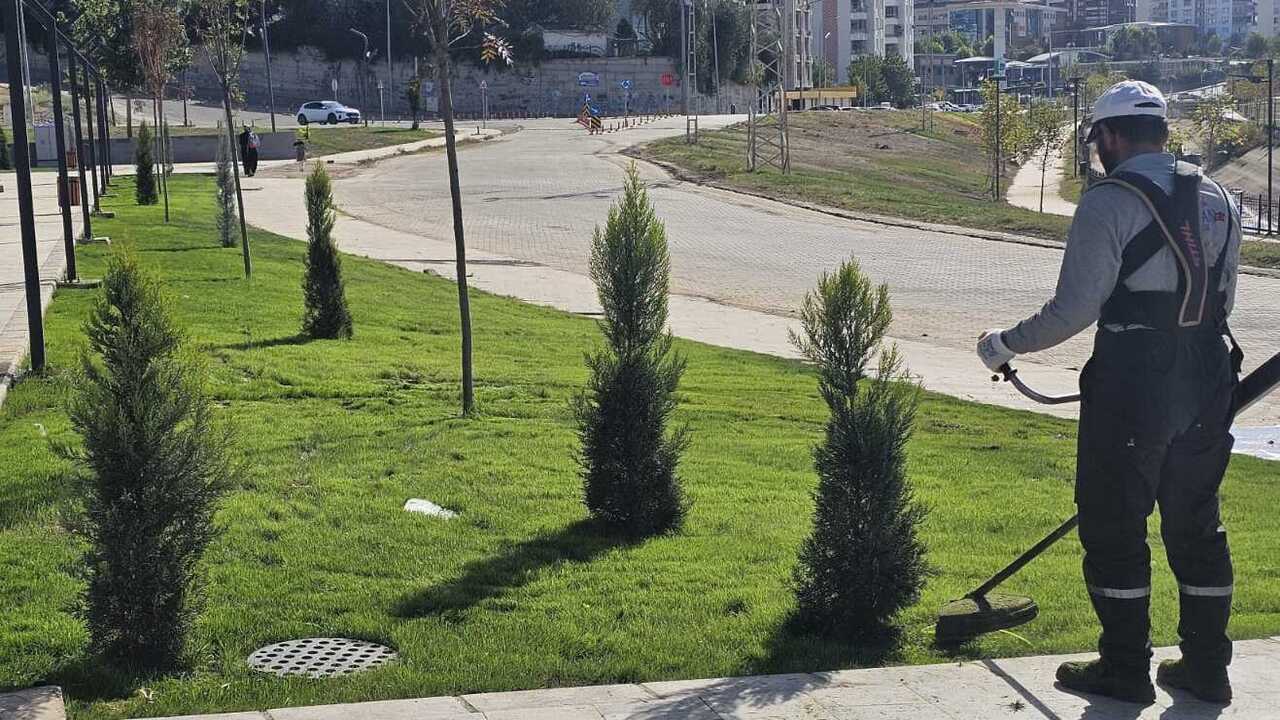 Batmanda Cim Bicme Ve Geri Donus (2)