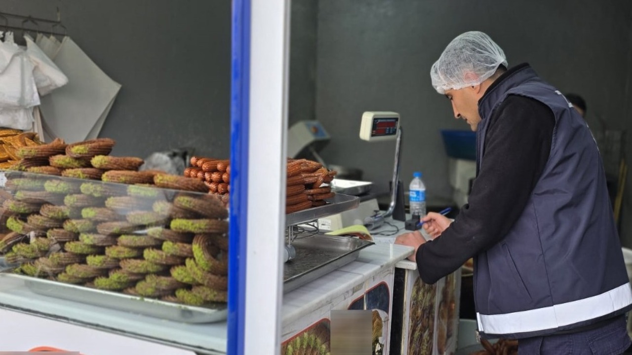 Batmanda Denetlenen 17 Gida Isle (3)