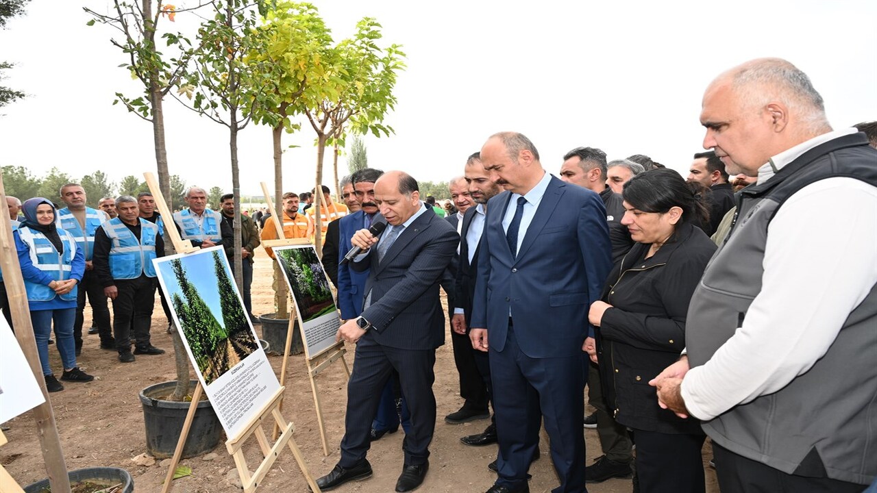 Batmanda 2 Bin 250 Fidan Toprakla Bulustu 2