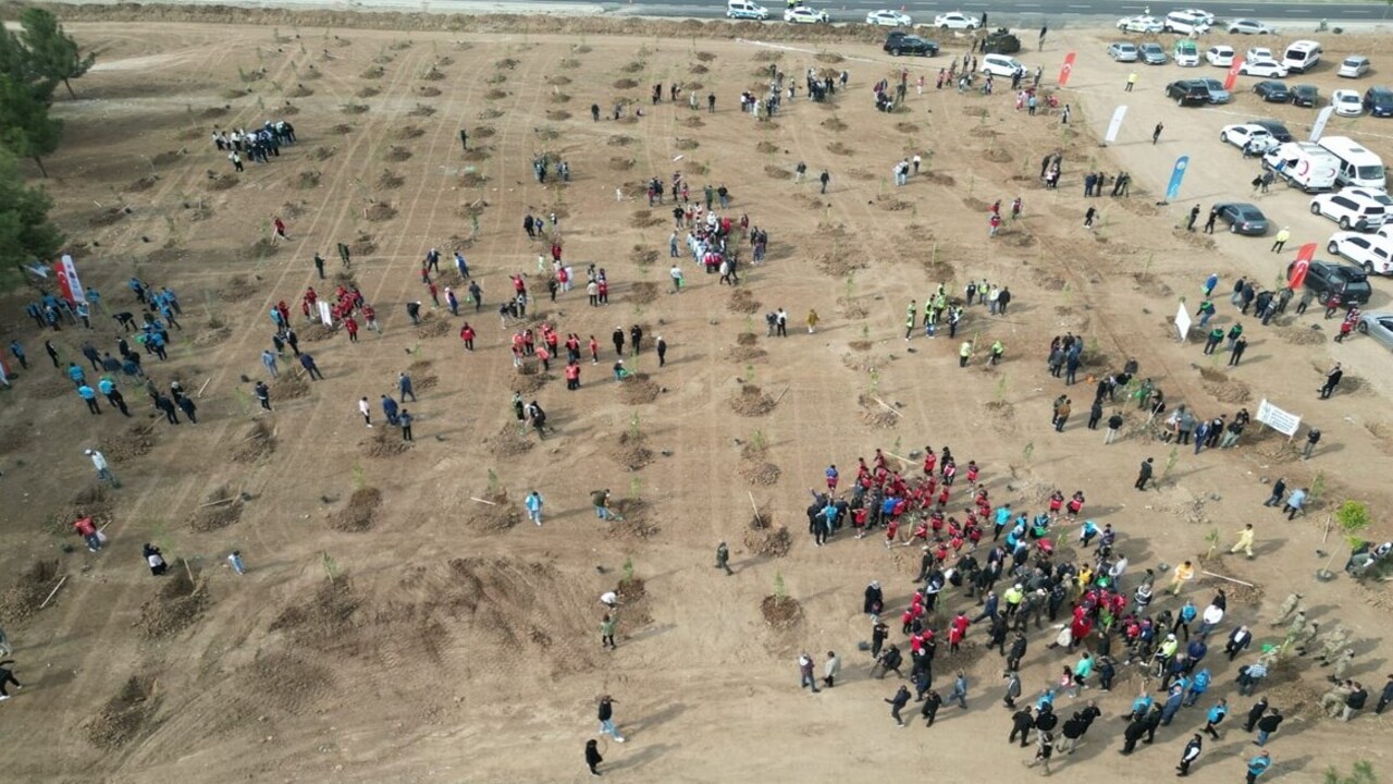 Batmandan Yesil Vatan Seferberli (6)