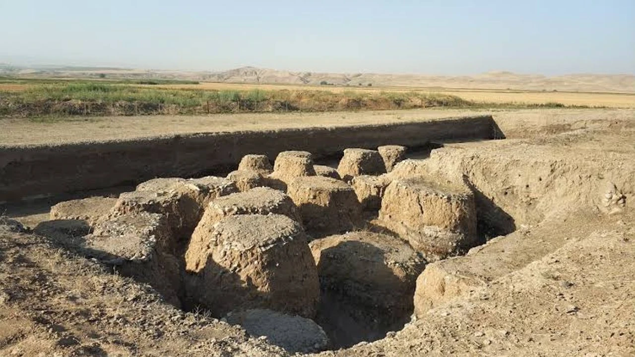 Bismil Neyi Ile Meshur 2