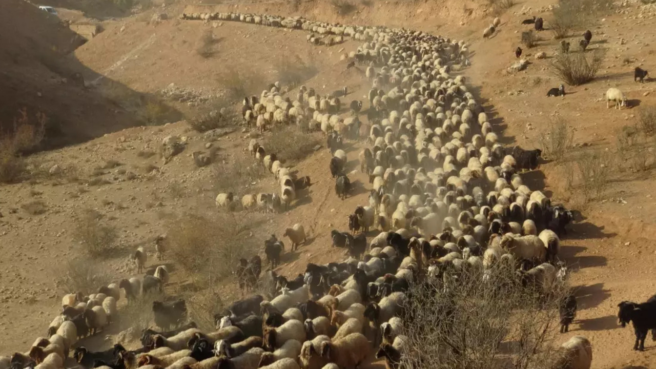 Baskaleden Nusaybine Sonbahar De (1)