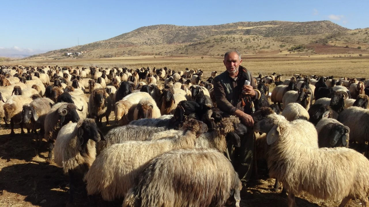 Baskaleden Nusaybine Sonbahar Destani 3 Ayda Katedilen Mesafe Ve Zorluklari1