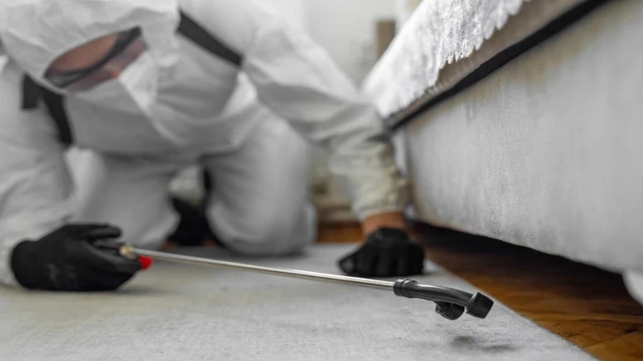 Dort Kisilik Bocek Ailesi Gercek (1)