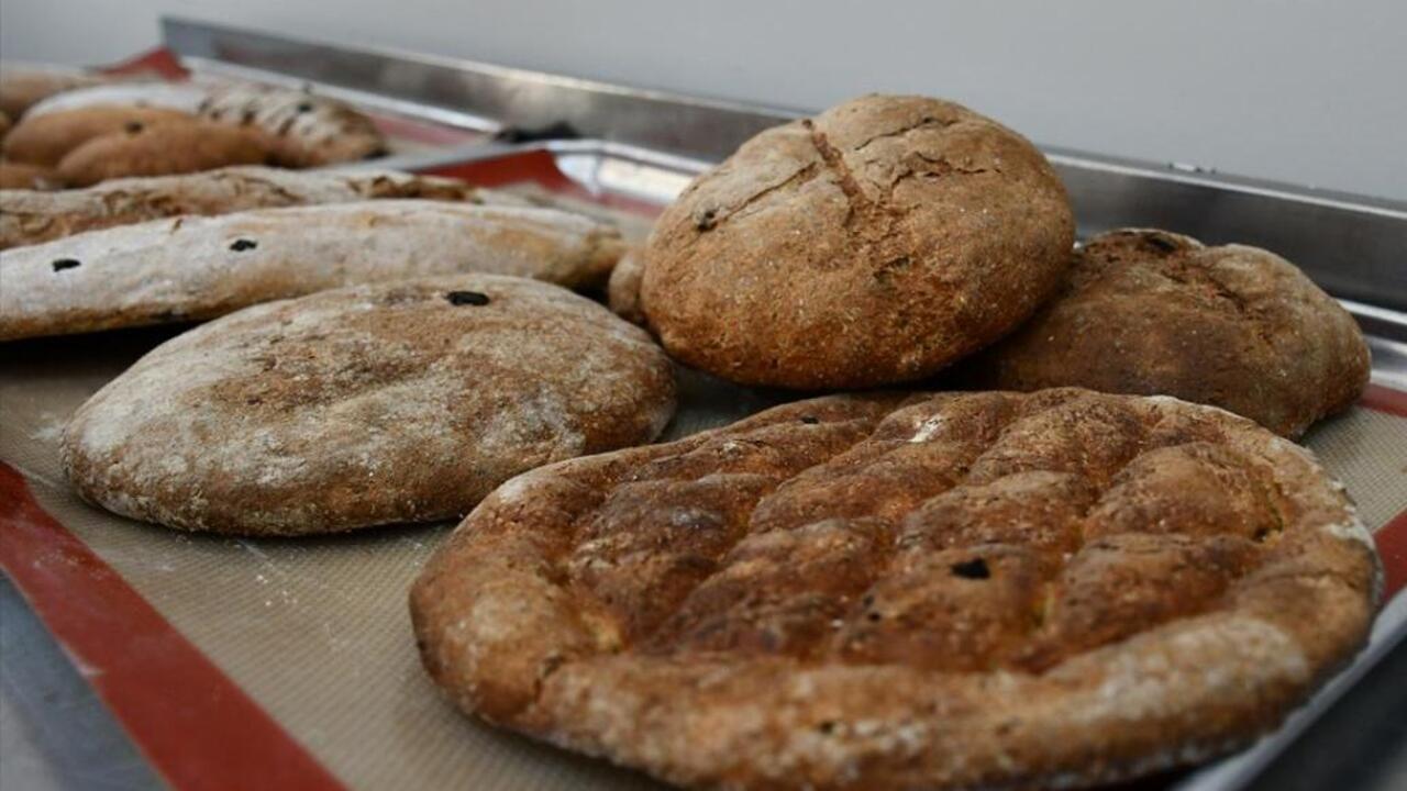 Hasankeyf’te 3000 Yıllık Ballı A