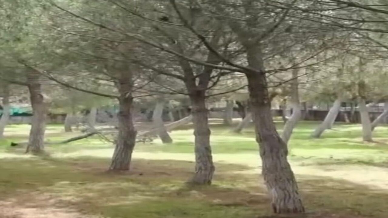 Ata Demirerin 21 Yillik Sabri Hu