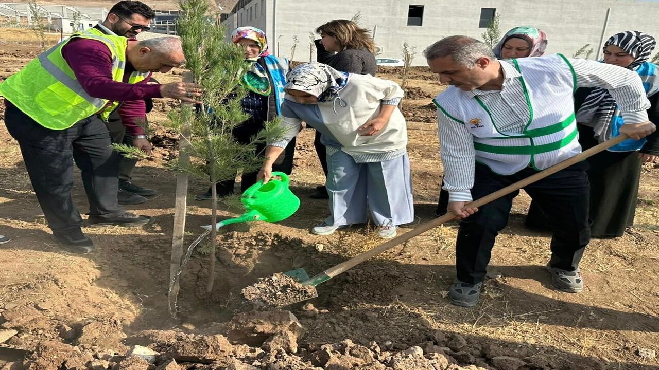 Ak Parti Batman Osbye Fidanlarla Can Verdi 1