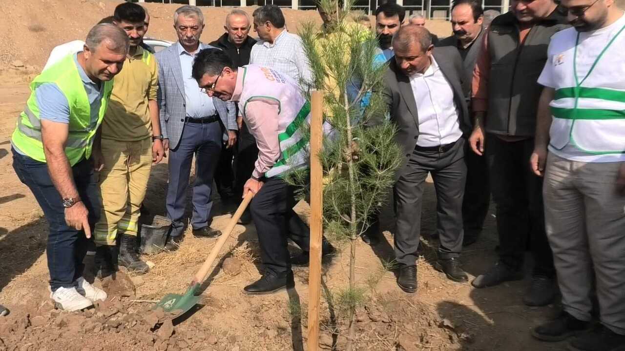 Ak Parti Batman Osbye Fidanlarla Can Verdi 2