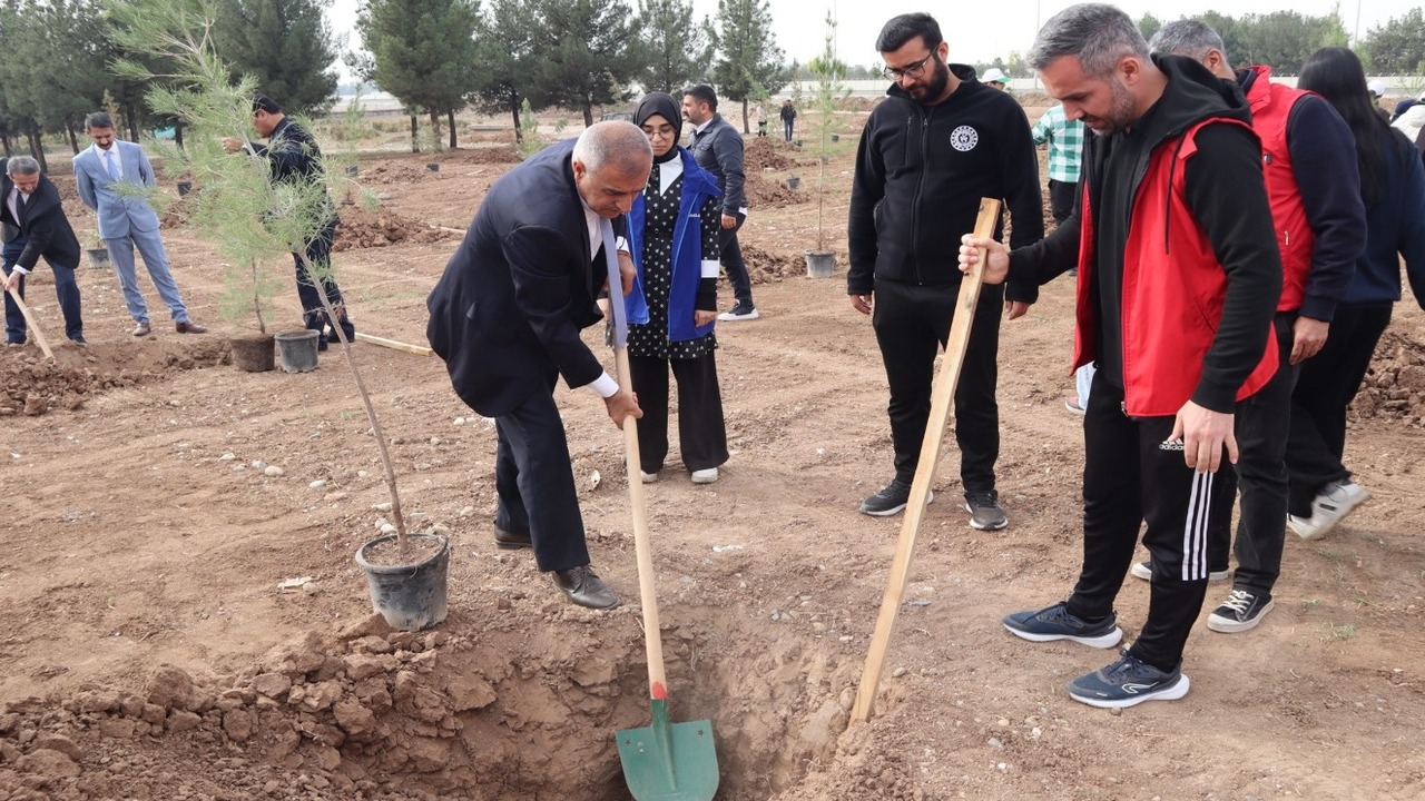 Fi̇dan Di̇kme 2 (1)