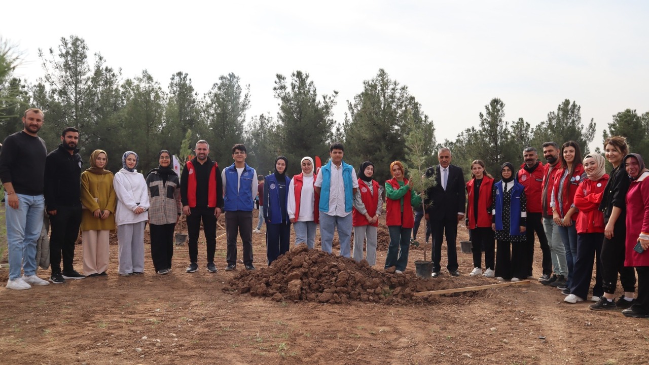 Fi̇dan Di̇kme 3 (1)