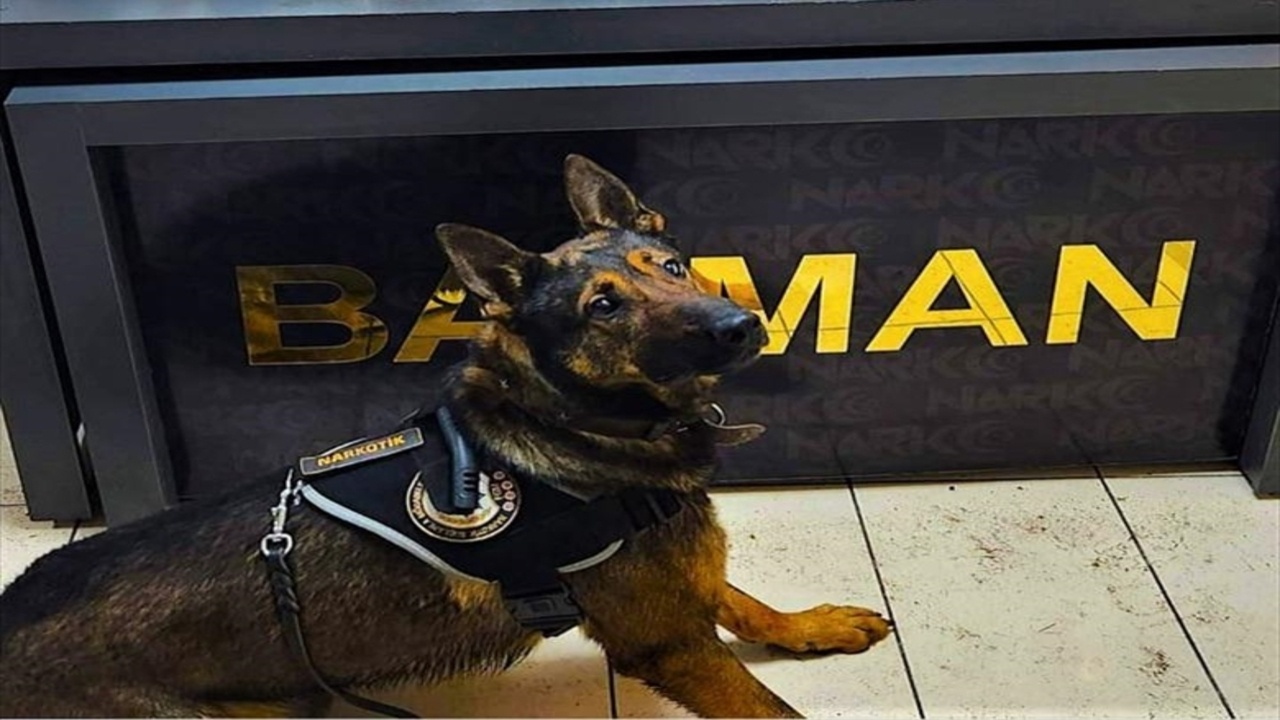 Batmanda Bir Tirda 37 Kilo Yasa Disi Madde Ele Gecirildi 1