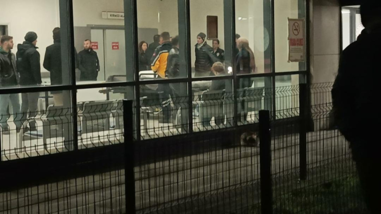 Yalovada Teror Siginagina Safak