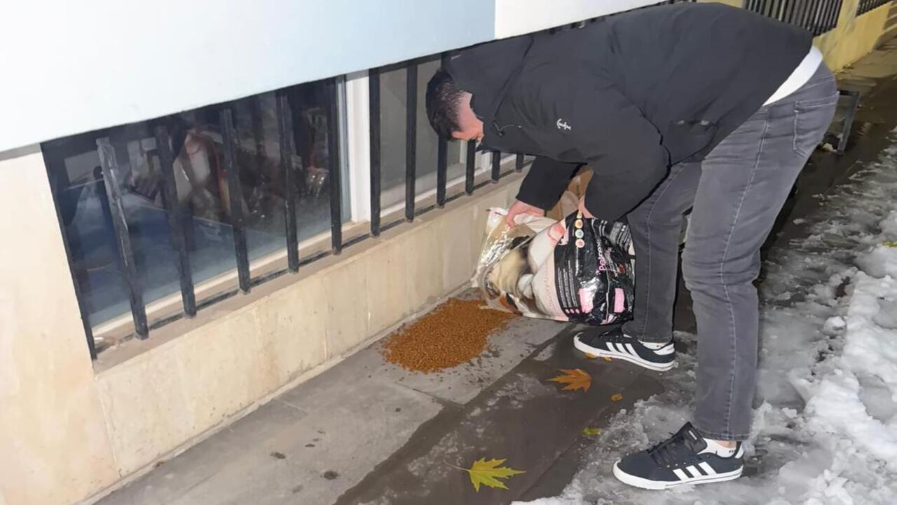 Batman Belediyesi Can Dostlari K (1)