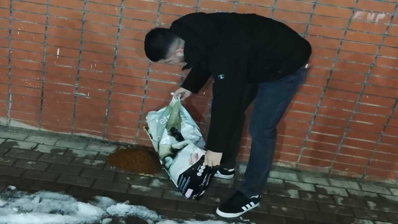 Batman Belediyesi Can Dostlari K (2)