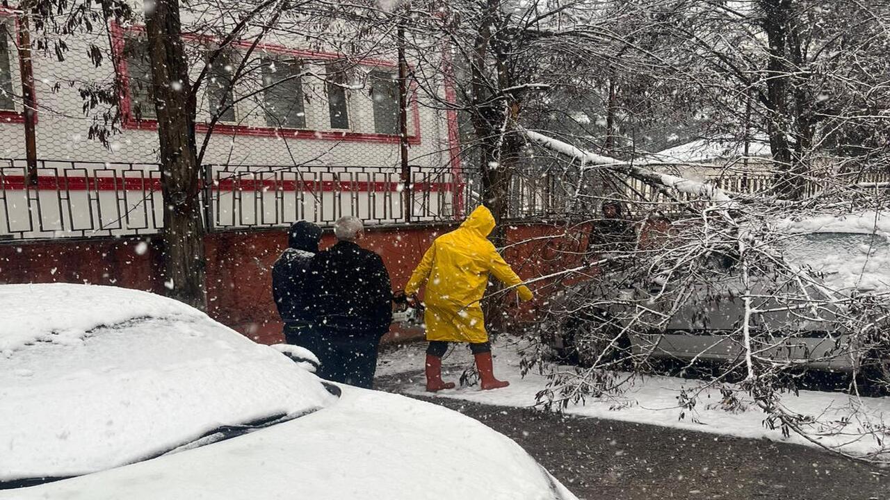 Batmanda Karin Agirligina Agacla (1)