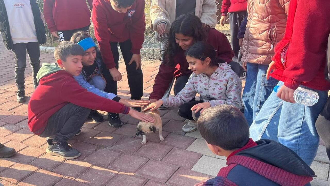 Batmanin Dev Tesisinde Sevgi Dol (2)