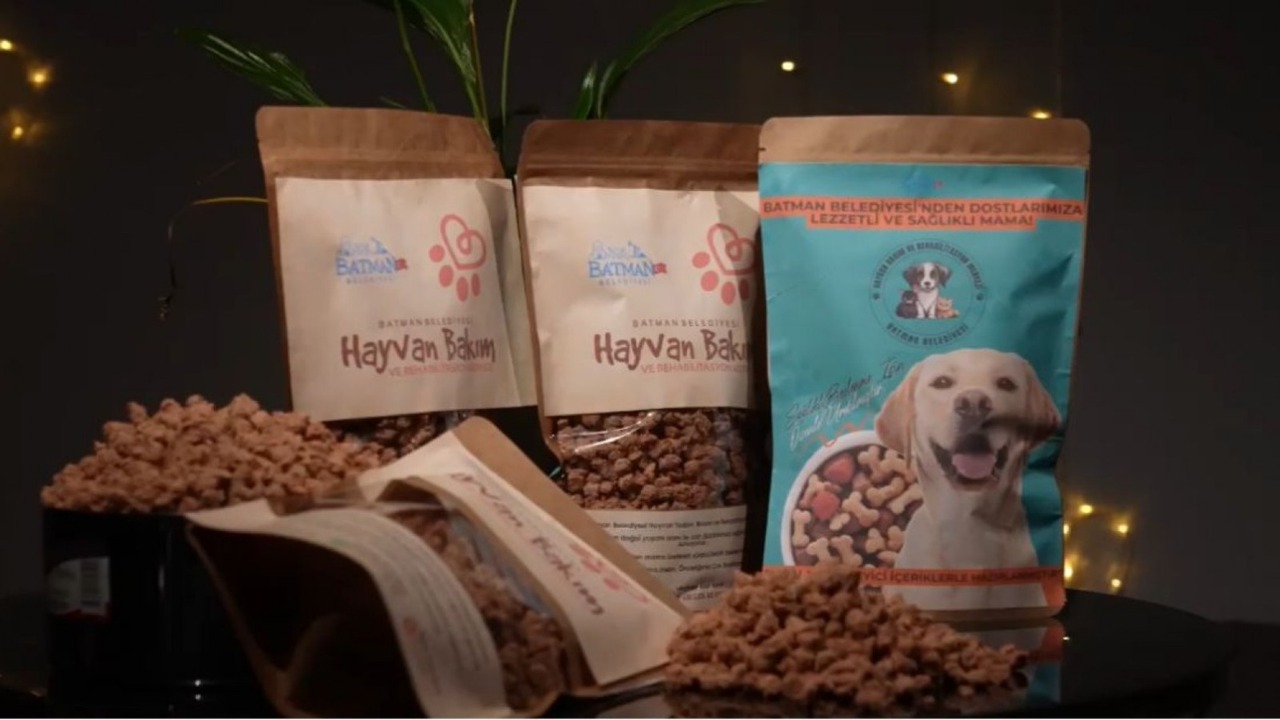 Israf Mamaya Donusuyor Batmanda (1)