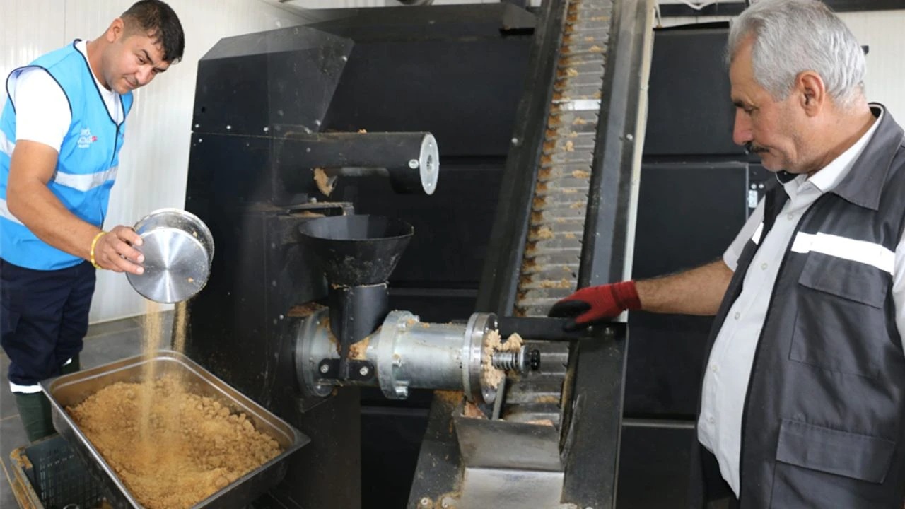 Israf Mamaya Donusuyor Batmanda Sokak Hayvanlari Icin Ornek Seferberlik3