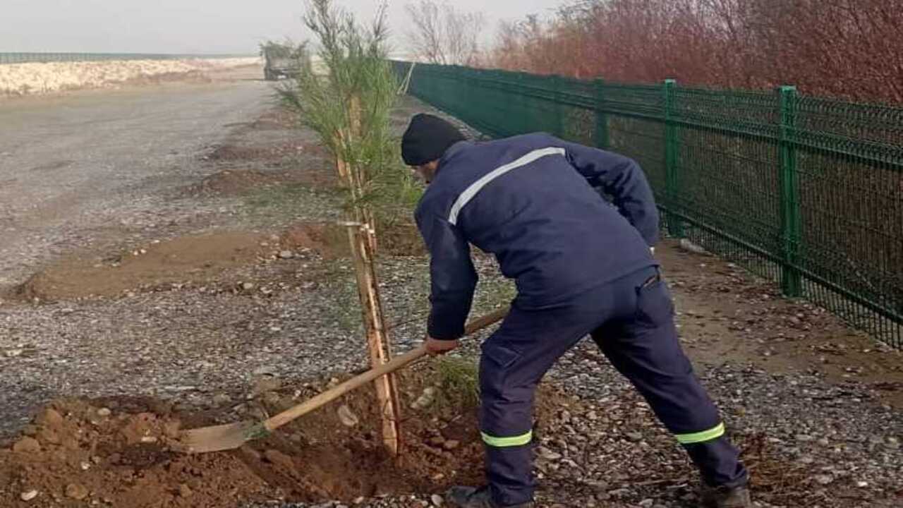 Mavi Yesil Batmanda Dev Adim Seh (1)