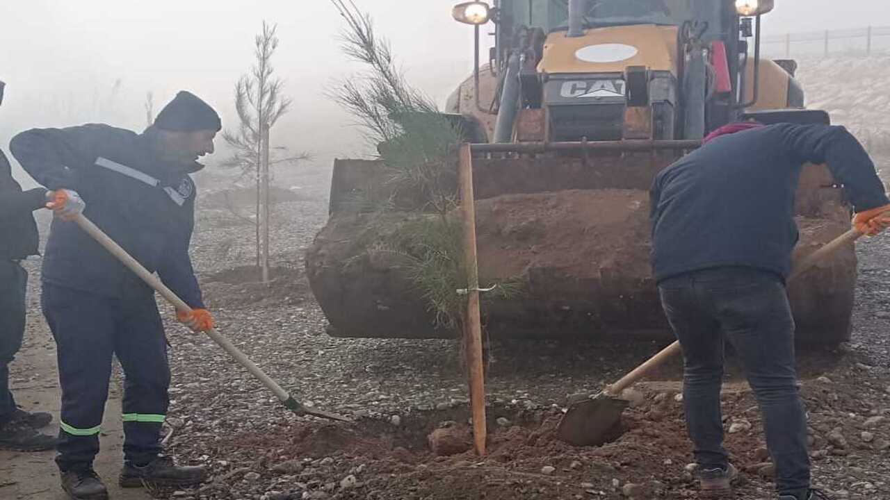 Mavi Yesil Batmanda Dev Adim Seh (2)