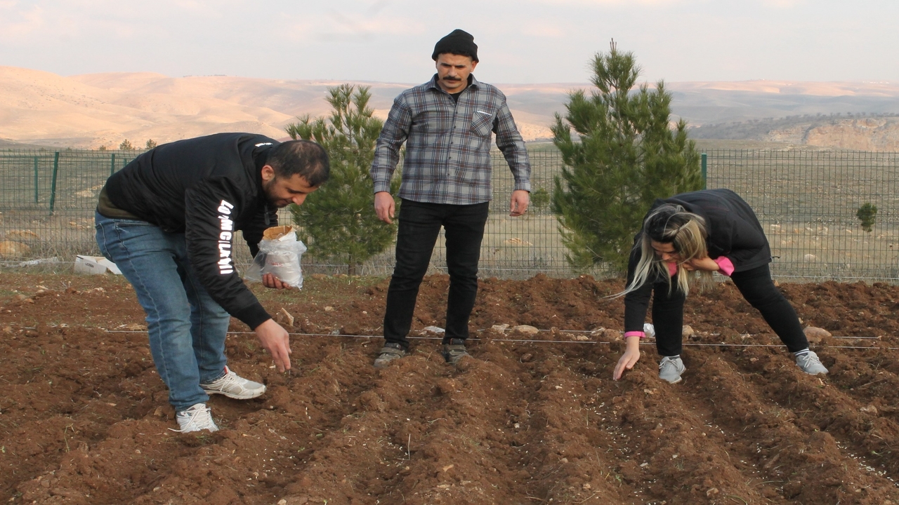 Batman Universitesinden Strateji (1)