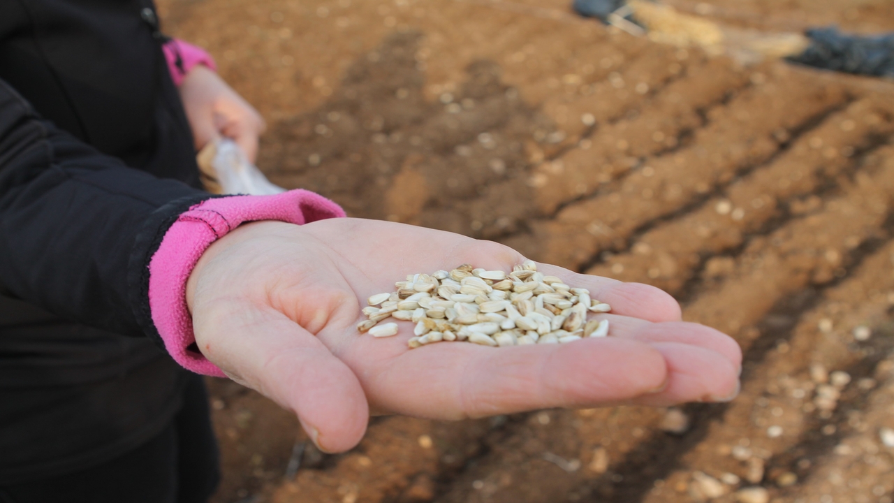 Batman Universitesinden Strateji (2)