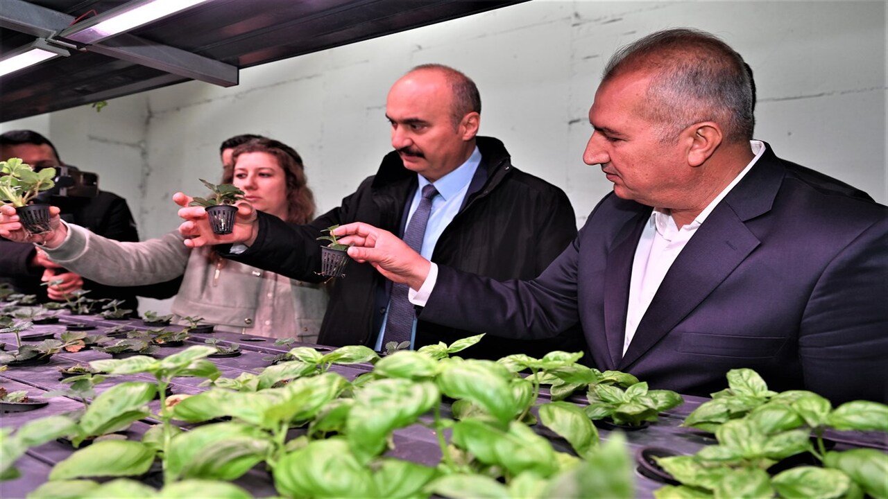 Vali Canalpten Topraksiz Tarima