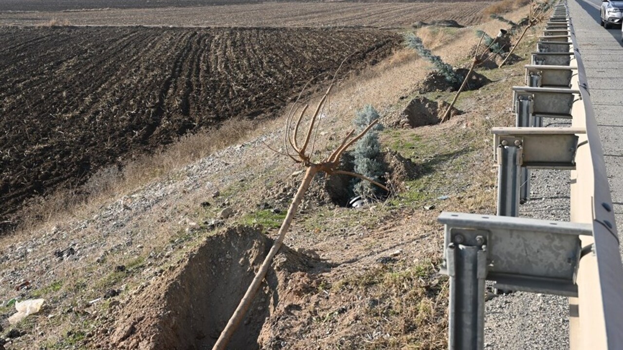 Vizyoner Proje Hayata Geciyor Ba (3)