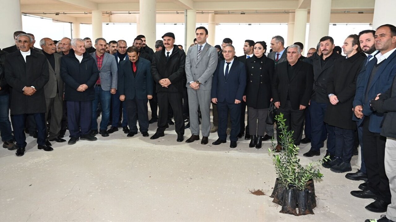 Hasankeyfte Zeytin Tarimina Gucl (1)