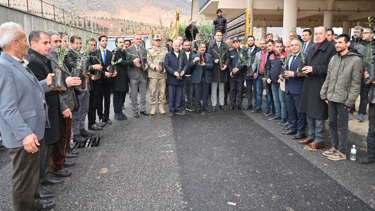 Hasankeyfte Zeytin Tarimina Gucl (2)