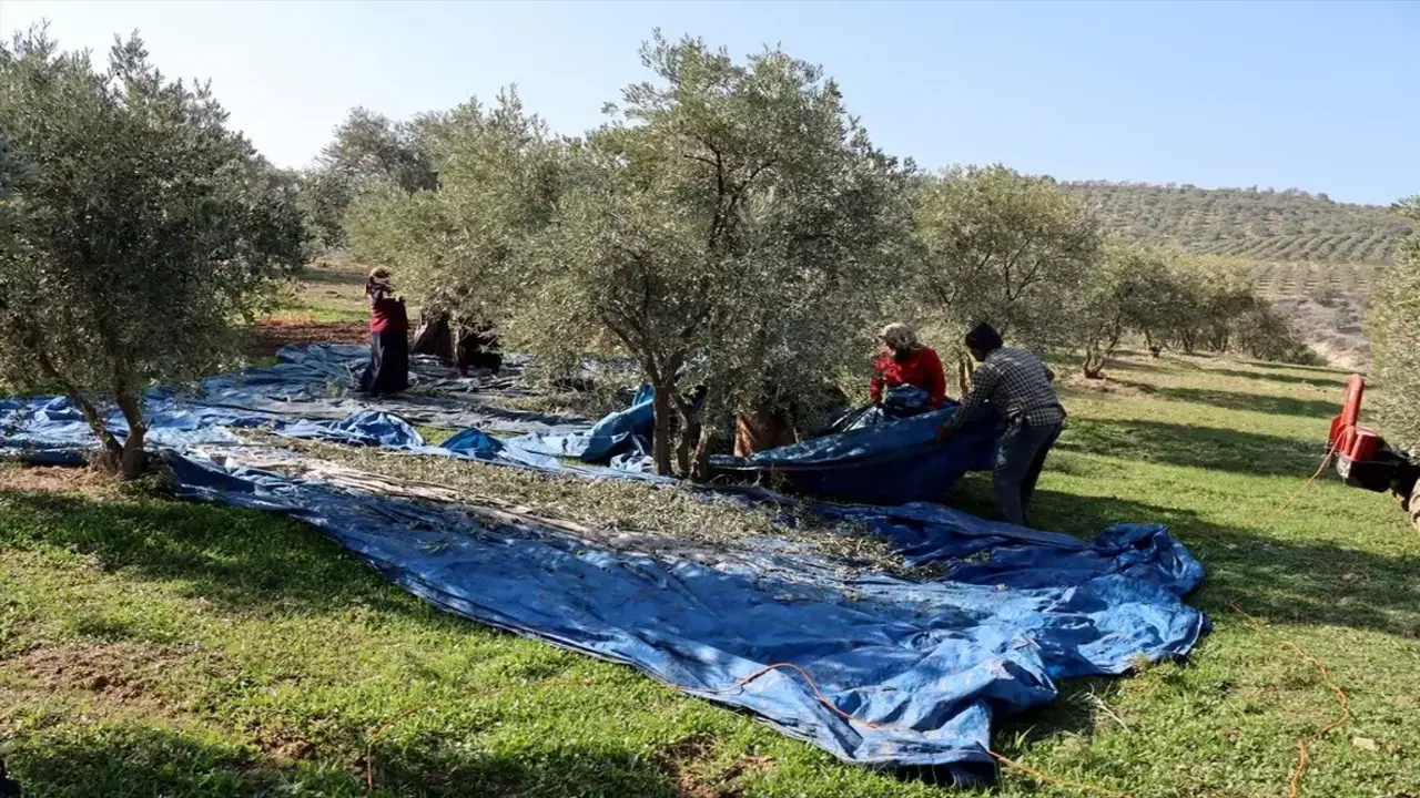 Tkdk Destegiyle Yoresel Kalkinma (1)