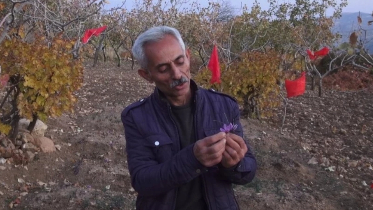 Fistigin Yanina Dunyanin En Paha (1)