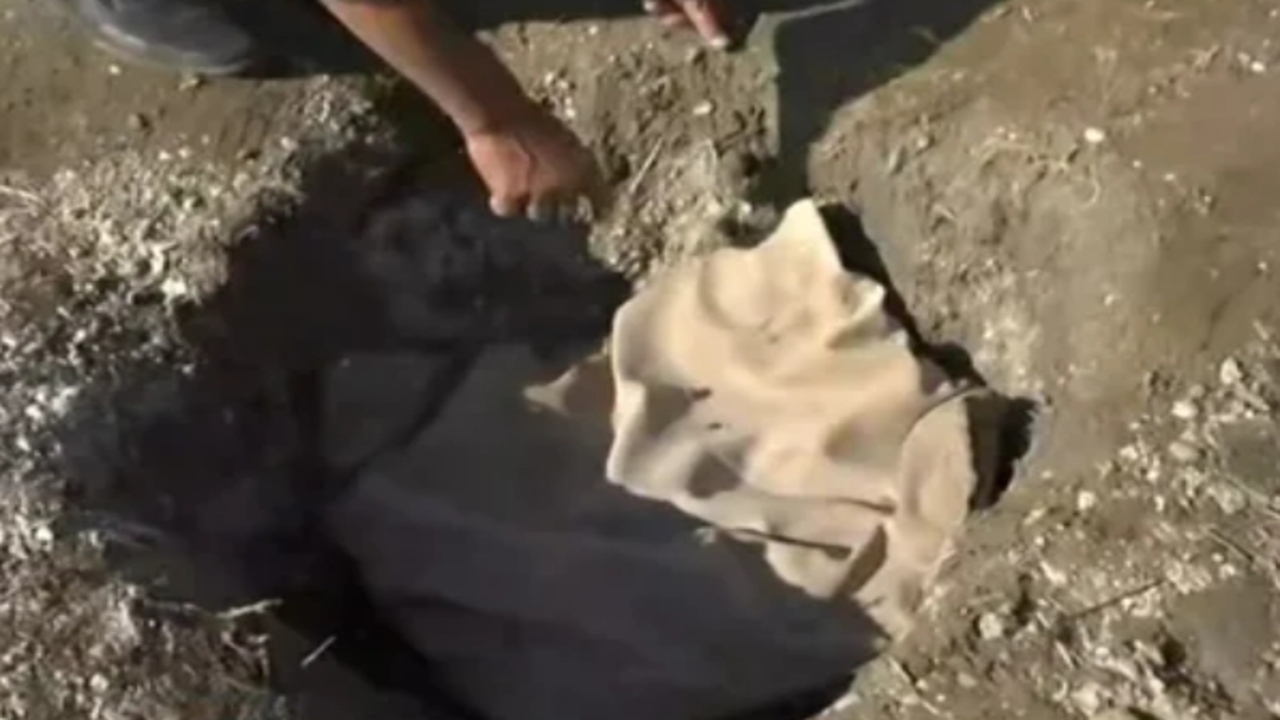 A Haber Canli Yayininda Sok Eden