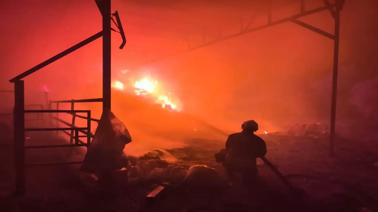 Esenyurtta Alev Geceyi Yuttu Pat (1)