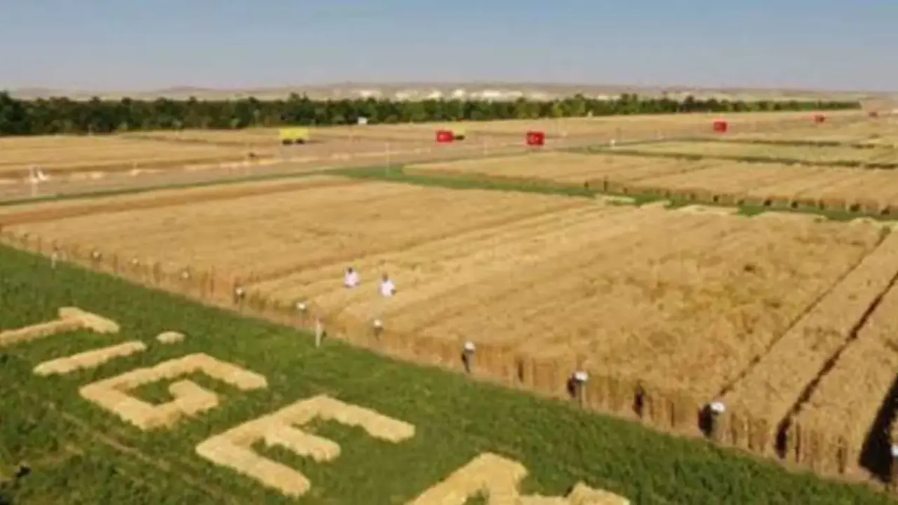 Tarimda Dev Istihdam Hamlesi Tig (1)