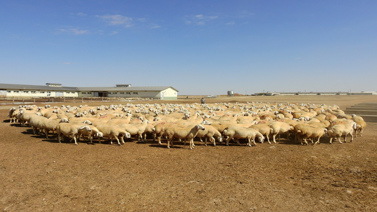 Tarimda Dev Istihdam Hamlesi Tig