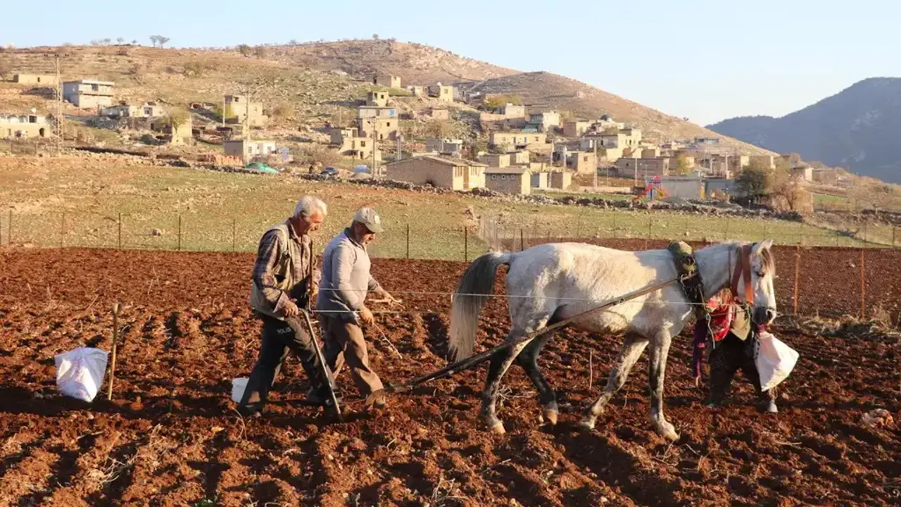 Hasankeyfin Tescilli Incisi Topr (1)