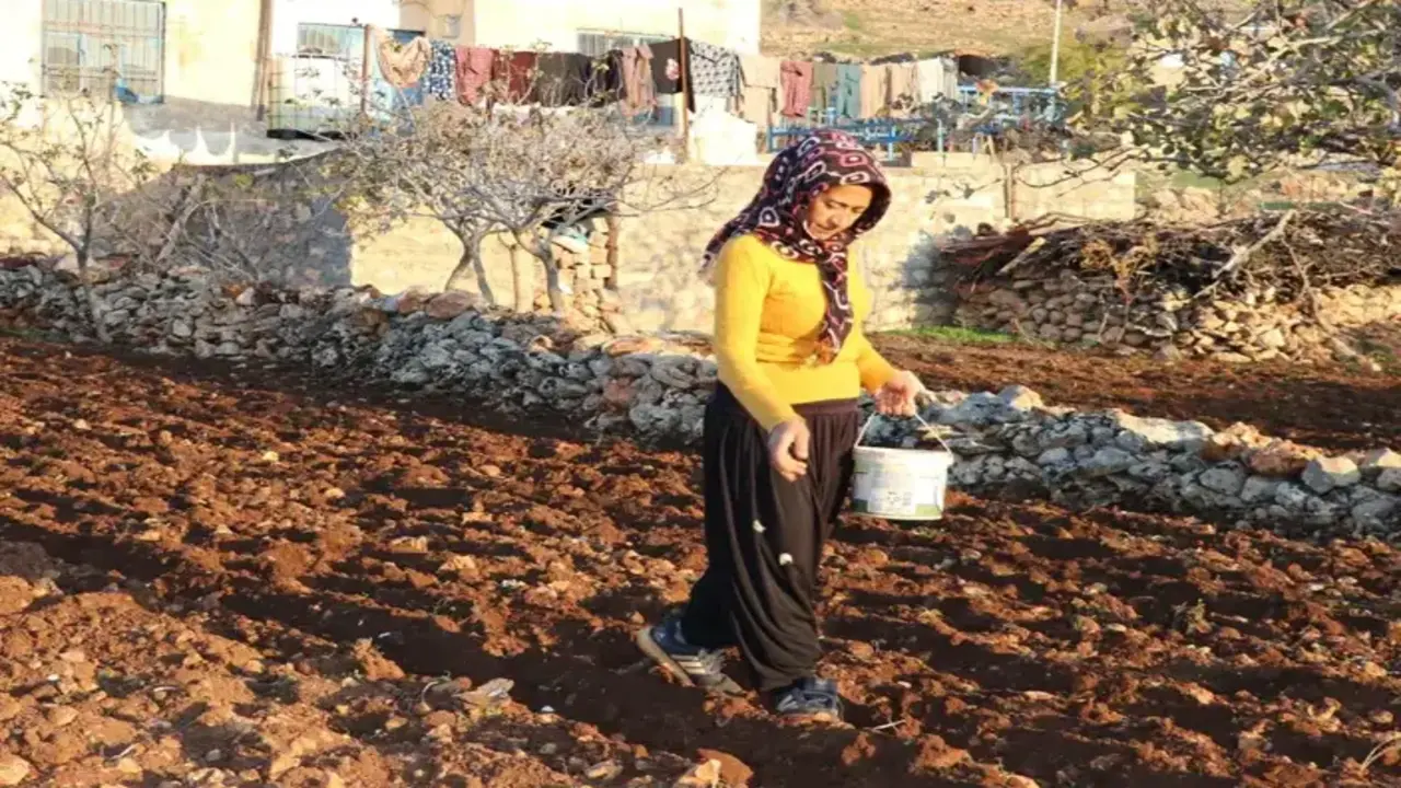 Hasankeyfin Tescilli Incisi Topr (2)