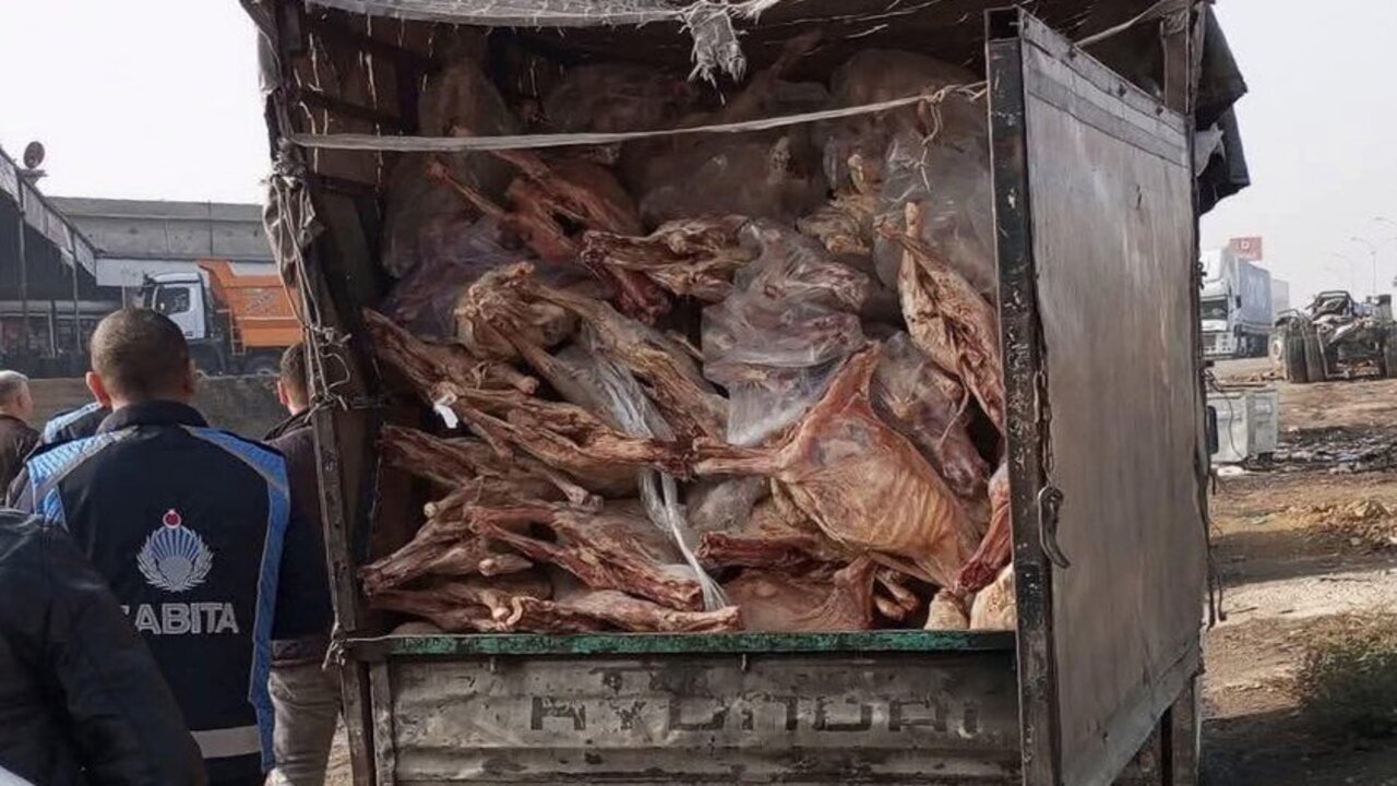 Gaziantepte Skandal Et Baskini Z