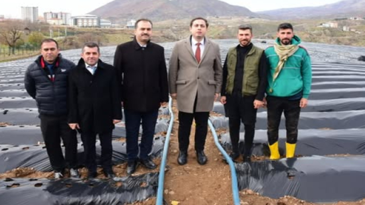 Tarlada Hasat Mesaisi Sason Cile