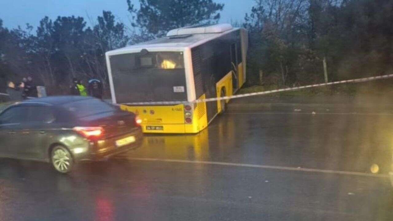 Arnavutkoyde Iett Otobusu Felaketin Esiginden Dondu Ormanlik Alana Ucan Aracta Mucize Kurt2