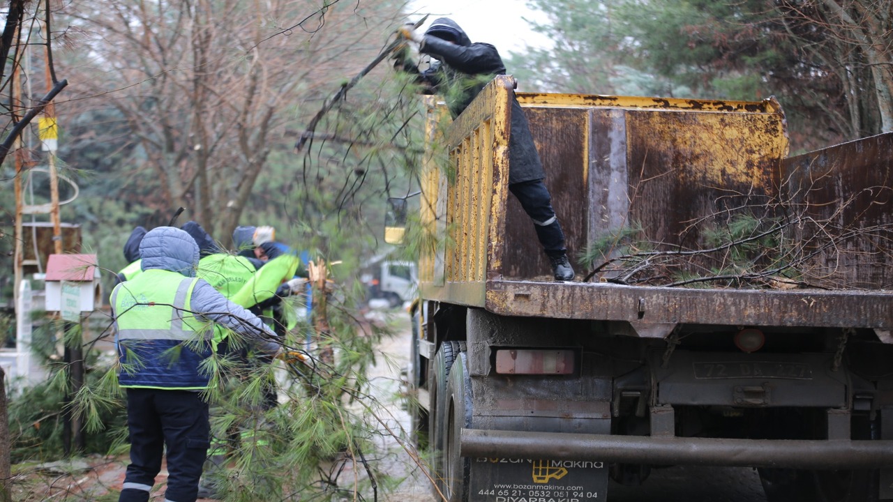 Batman Sokaklarinda Mevsimlik Ba (2)