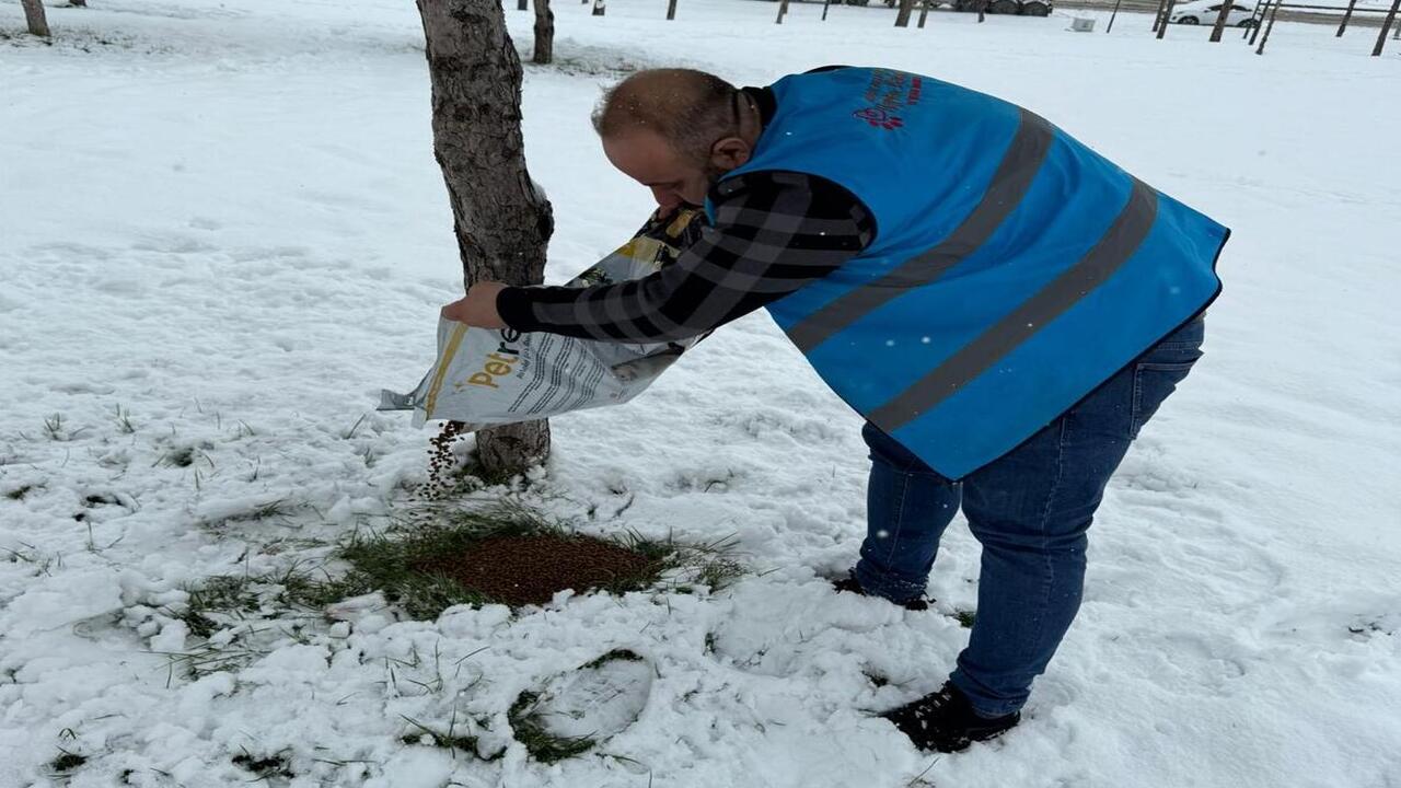 Batmanda Kar Nobeti Belediye Eki (2)